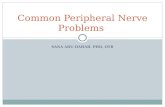 SANA ABU-DAHAB, PHD, OTR Common Peripheral Nerve Problems.