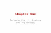 Chapter One Introduction to Anatomy and Physiology.