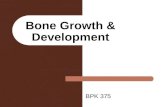 Bone Growth & Development BPK 375. Bone Growth & Development When do the first bones ossify? Which is the first bone to ossify? Does exercise affect bone.