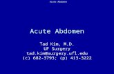 Acute Abdomen Tad Kim, M.D. UF Surgery tad.kim@surgery.ufl.edu (c) 682-3793; (p) 413-3222.