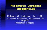 Pediatric Surgical Emergencies Robert W. Letton, Jr., MD Associate Professor, Department of Surgery Pediatric Surgery.