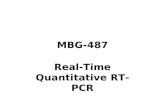 MBG-487 Real-Time Quantitative RT-PCR. Agarose EtBr Gel.