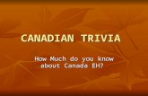 CANADIAN TRIVIA How Much do you know about Canada EH?