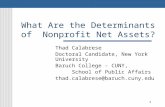 1 What Are the Determinants of Nonprofit Net Assets? Thad Calabrese Doctoral Candidate, New York University Baruch College - CUNY, School of Public Affairs.