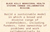 BLACK HILLS BEHAVIORAL HEALTH SYSYEMS CHANGE COLLABORATIVE MISSION : Build a sustainable model in which a broad and diverse range of stakeholders, including.