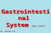 Gastrointestinal System ORAL CAVITY Dr. Zainab H.H. Dept. of physiology College of medicine Al-Nahrain University.