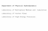Department of Physical Hydrodynamics Laboratory of Multiphase Medium and Cumulation Laboratory of Vortex Flows Laboratory of High-Energy Processes.
