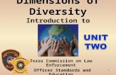 1 Dimensions of Diversity Introduction to Diversity Texas Commission on Law Enforcement Officer Standards and Education Course # 3939.