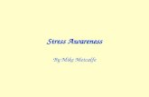 Stress Awareness By Mike Metcalfe Objectives By the end of this session you will have an awareness of: What stress is; The causes of stress; How to recognise.