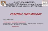 AL-NEELAIN UNIVERSITY FACULTY Of Medical Laboratory Sciences PARASITOLOGY AND MEDICAL ENTOMOLOGY FORENSIC ENTOMOLOGY PRESENTED BY` MUSA. A. ALI. A. GINDEEL.