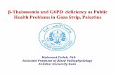 Mahmoud Sirdah, PhD Associate Professor of Blood Pathophysiology Al-Azhar University Gaza.