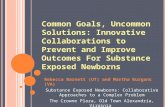 Common Goals, Uncommon Solutions: Innovative Collaborations to Prevent and Improve Outcomes For Substance Exposed Newborns Rebecca Barnett (UT) and Martha.