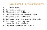 1 Cultural environment 1. Overview 2.Defining culture 3.Elements of Culture 4.Cross-cultural comparisons 5.Adapting to cultures 6.Culture and the marketing.