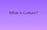 What Is Culture?. Ethnography the scientific description of the customs of individual peoples and cultures.