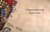 Organizational Behavior. 2 Chapter 6 Study Questions  What is motivation?  What do the content theories suggest about individual needs and motivation?