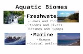 Aquatic Biomes Freshwater – Lakes and Ponds – Streams and Rivers – Marshes and Swamps Marine – Oceans – Coastal wetlands.