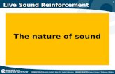 1 Live Sound Reinforcement The nature of sound. 2 Live Sound Reinforcement In this presentation we will discuss the nature of sound traveling through.