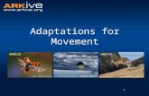 1 Adaptations for Movement. 2 What is Adaptation? “...the way in which a species becomes better suited to living in its environment.”