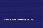 TRACT GASTROINTESTINAL Aging and. What IS Aging?