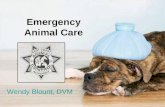 Emergency Animal Care Wendy Blount, DVM. Video Why We Do What We Do.