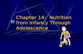 Chapter 14: Nutrition from Infancy Through Adolescence.