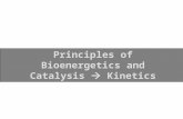 Principles of Bioenergetics and Catalysis  Kinetics.