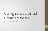 Congressional Committees By: Julian Mullen. House Committees Jurisdiction.
