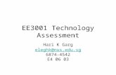 EE3001 Technology Assessment Hari K Garg eleghk@nus.edu.sg 6874-4542 E4 06 03.