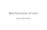 Biochemistry of skin Jana Novotná. The role of the skin System maintaining body homeostasis; Barrier – to keep water and solutes in –against a range of.