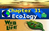 BILYEU Chapter 31 Ecology. BILYEU Ecology The branch of biology that deals with the interactions between organisms and the relationship between organisms.