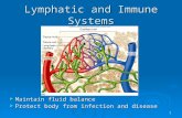 1  Maintain fluid balance  Protect body from infection and disease Lymphatic and Immune Systems.