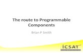 The route to Programmable Components Brian P Smith.