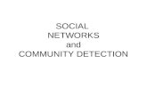 SOCIAL NETWORKS and COMMUNITY DETECTION. “Networks” is a pervasive term? Networked Economy Immigrant Networks National Innovation Networks Networking.
