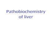 Pathobiochemistry of liver. portal vein hepatic artery bile duct sinusoids bile canaliculi central vein LIVER STRUCTURE.