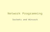 Network Programming Sockets and Winsock. Please Be Responsible We all know that the Internet is full of security holes –most of them do not require any.