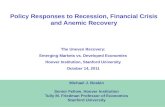 1 Policy Responses to Recession, Financial Crisis and Anemic Recovery Michael J. Boskin Senior Fellow, Hoover Institution Tully M. Friedman Professor of.