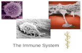 The Immune System. What is the Immune System? A group of defenses that protects the body against disease-causing organisms. Pathogen- Any disease.
