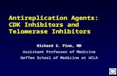 Antireplication Agents: CDK Inhibitors and Telomerase Inhibitors Richard S. Finn, MD Assistant Professor of Medicine Geffen School of Medicine at UCLA.