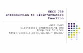 EECS 730 Introduction to Bioinformatics Function Luke Huan Electrical Engineering and Computer Science jhuan