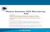 Page 1 Mouse Genome CGH Microarray 44A. Page 2 Mouse Genome CGH Microarray Kit 44A Designed for CGH, Validated with samples of known aberrations Designed.