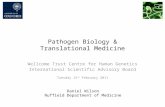 Pathogen Biology & Translational Medicine Wellcome Trust Centre for Human Genetics International Scientific Advisory Board Tuesday 15 th February 2011.