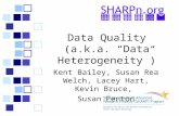 Data Quality (a.k.a. “Data Heterogeneity”) Kent Bailey, Susan Rea Welch, Lacey Hart, Kevin Bruce, Susan Fenton.