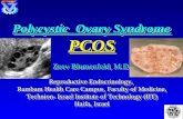 Polycystic Ovary Syndrome PCOS PCOS Zeev Blumenfeld, M.D. Reproductive Endocrinology, Rambam Health Care Campus, Faculty of Medicine, Technion- Israel.