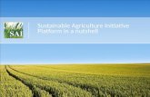 Sustainable Agriculture Initiative Platform in a nutshell.