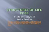 Seeds and Crayfish Audio Reading  6/StructuresofLife/index.html.