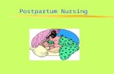Postpartum Nursing. Postpartum or Puerperium Period of 6 wks after delivery during which the reproductive system and the body returns to normal immediate--first.