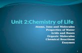 Atoms, Ions and Molecules Properties of Water Acids and Bases Organic Molecules Chemical Reactions Enzymes 1.