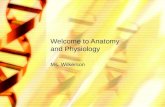 Welcome to Anatomy and Physiology Ms. Wilkerson. Welcome to A&P In this course we will learn about the anatomy and physiology of many domestic animals.