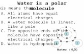O - - - - - - - - H - H - Water (H 2 O) Water is a polar molecule This means that... A.All atoms have equal electrical charges B.A water molecule is linear,