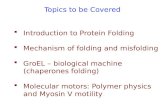 Topics to be Covered  Introduction to Protein Folding  Mechanism of folding and misfolding  GroEL – biological machine (chaperones folding)  Molecular.